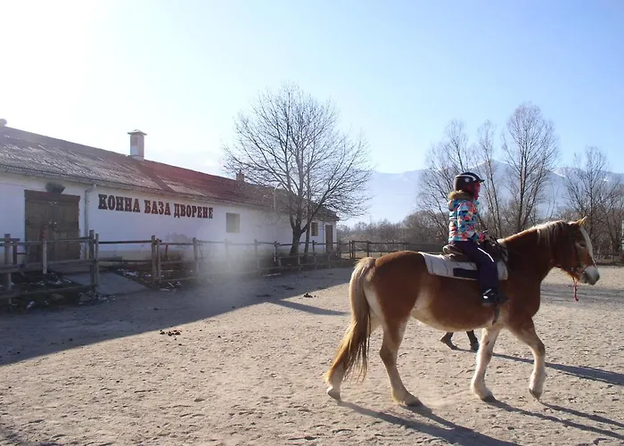 Lvv Pirin Golf 班斯科